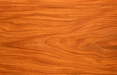 a few facts about wood