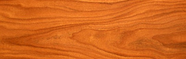 a few facts about wood